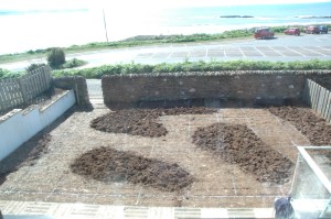 Austin's Gardens : Design Portfolio: Bigbury-on-Sea: Process